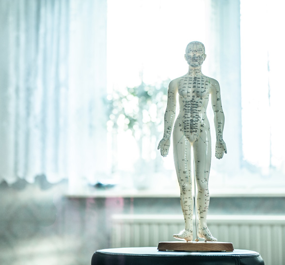 帕金森氏综合症
视神经萎缩
神经性耳聋
神经性牙痛
失声
面神经类（一期）
面神经麻痹（二期）
面瘫（三期、后期）
面肌痉挛
